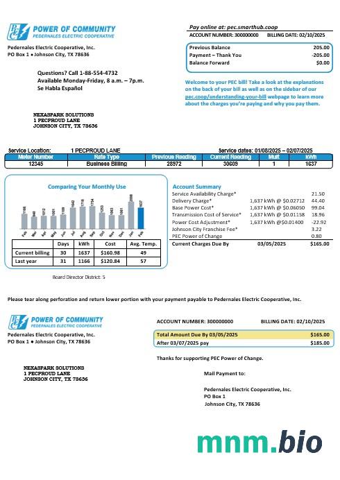 USA Texas Power of Community electricity rachunek za usługi komunalne w formatach Word i PDF, dobry na dowód adresu